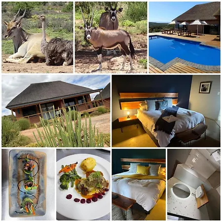Klein Karoo Game Lodge Oudtshoorn Exterior photo