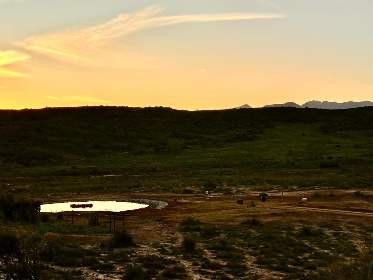 Klein Karoo Game Lodge Oudtshoorn